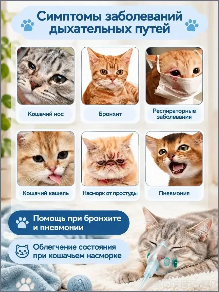 Камера для оксигенации кошек, мелких собак
